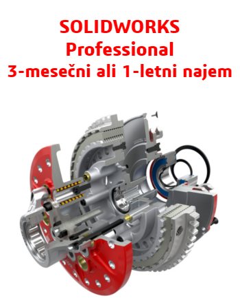 SOLIDWORKS Professional Term License